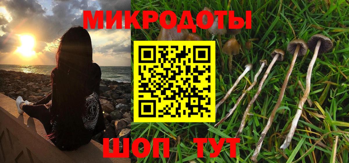 Галлюциногенные грибы GOLDEN TEACHER Вологда